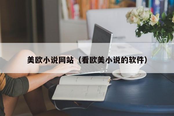 美欧小说网站（看欧美小说的软件）