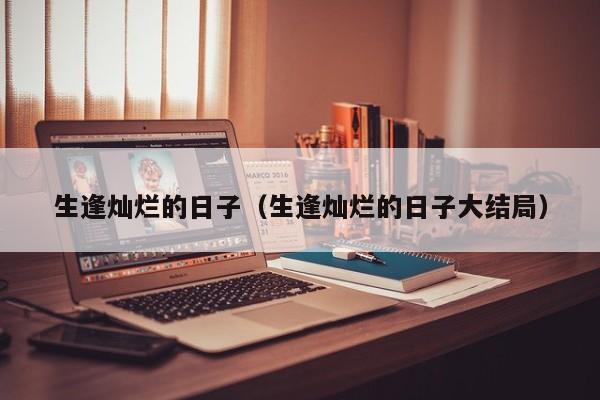 生逢灿烂的日子（生逢灿烂的日子大结局）