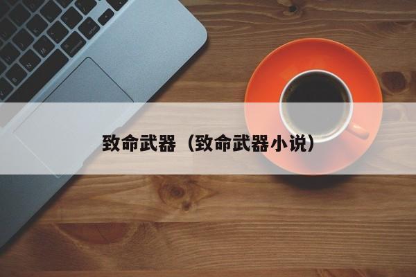 致命武器（致命武器小说）